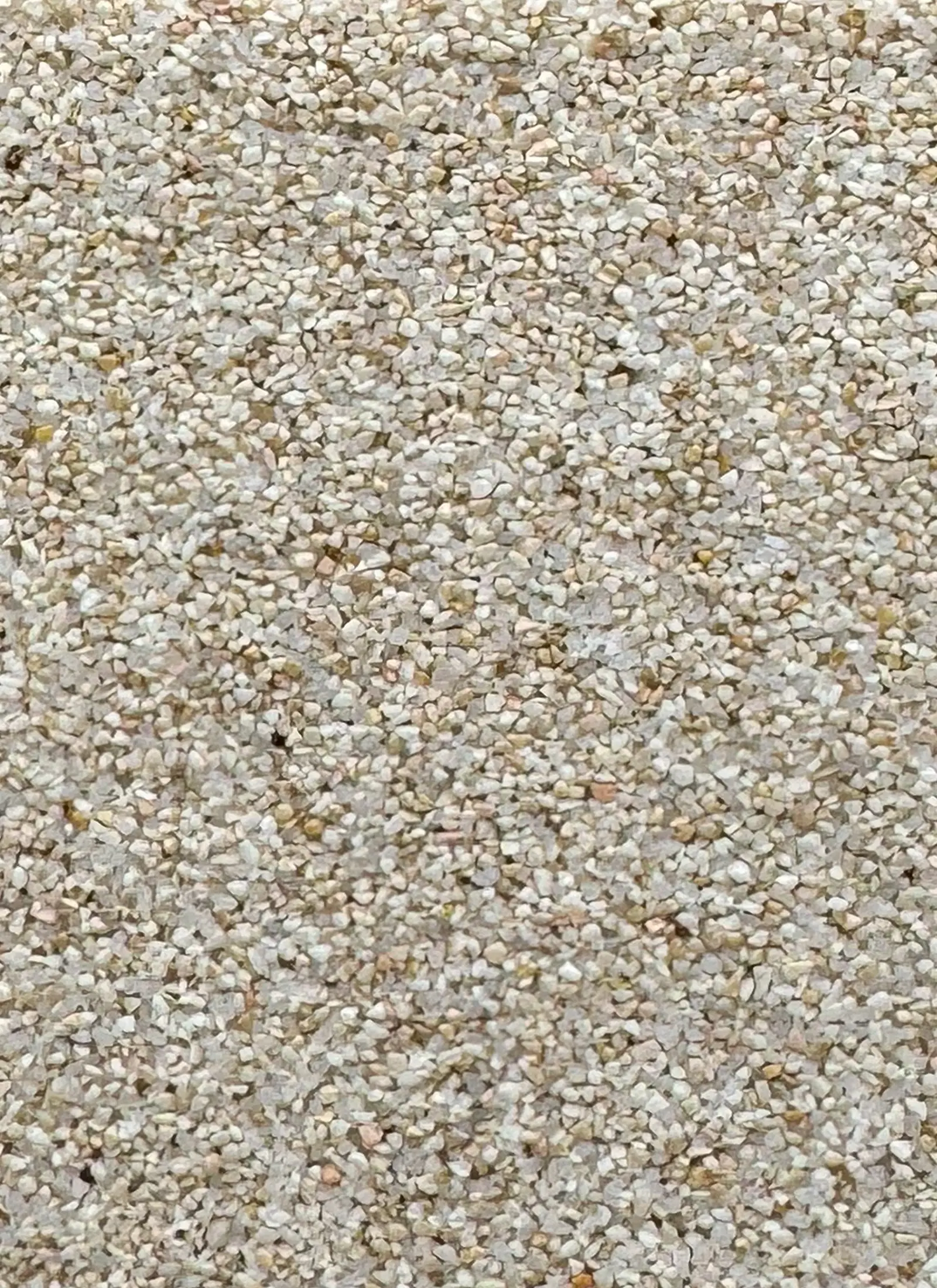 629