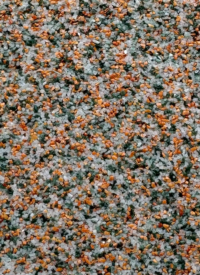 630