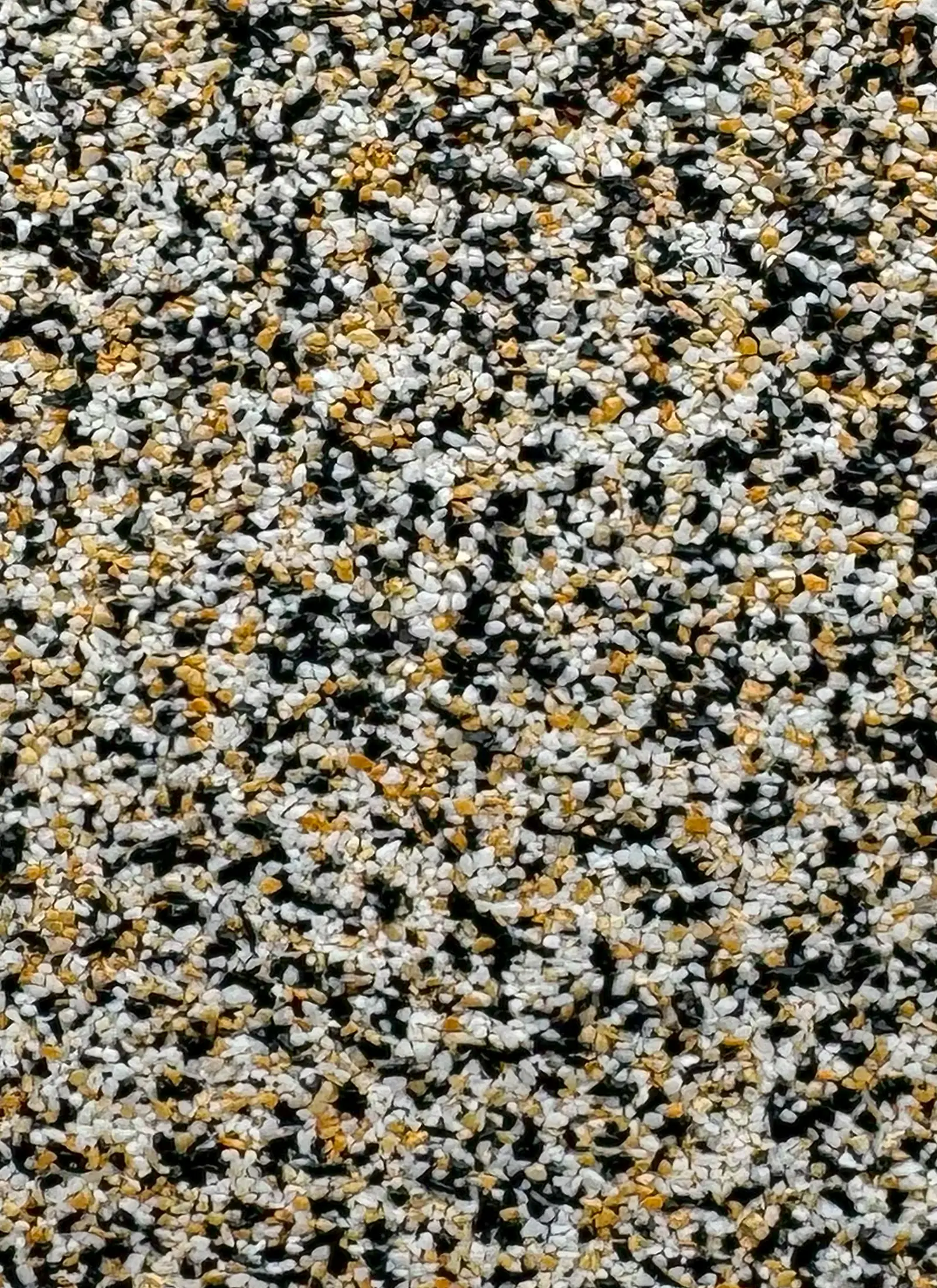 631