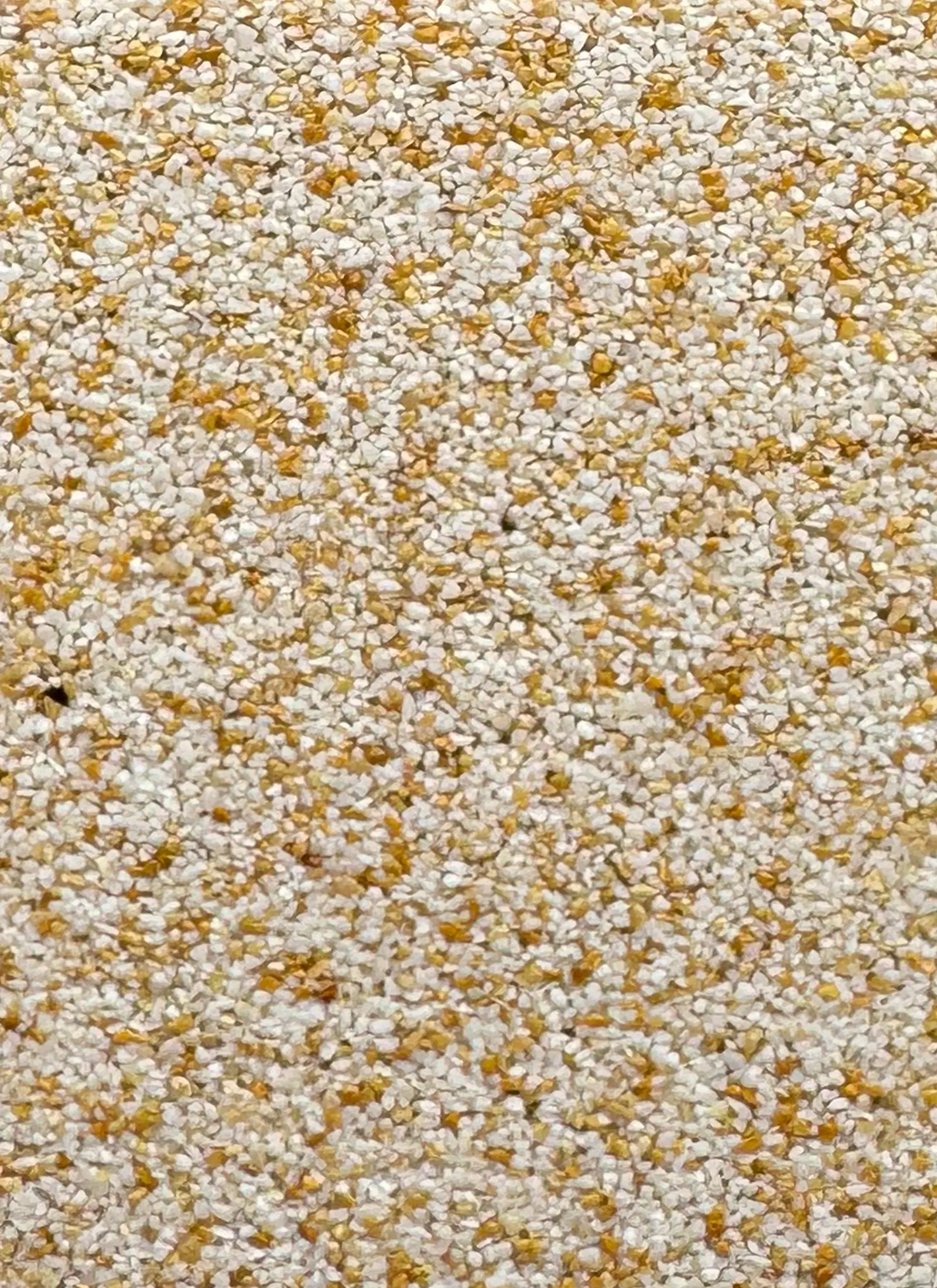 645