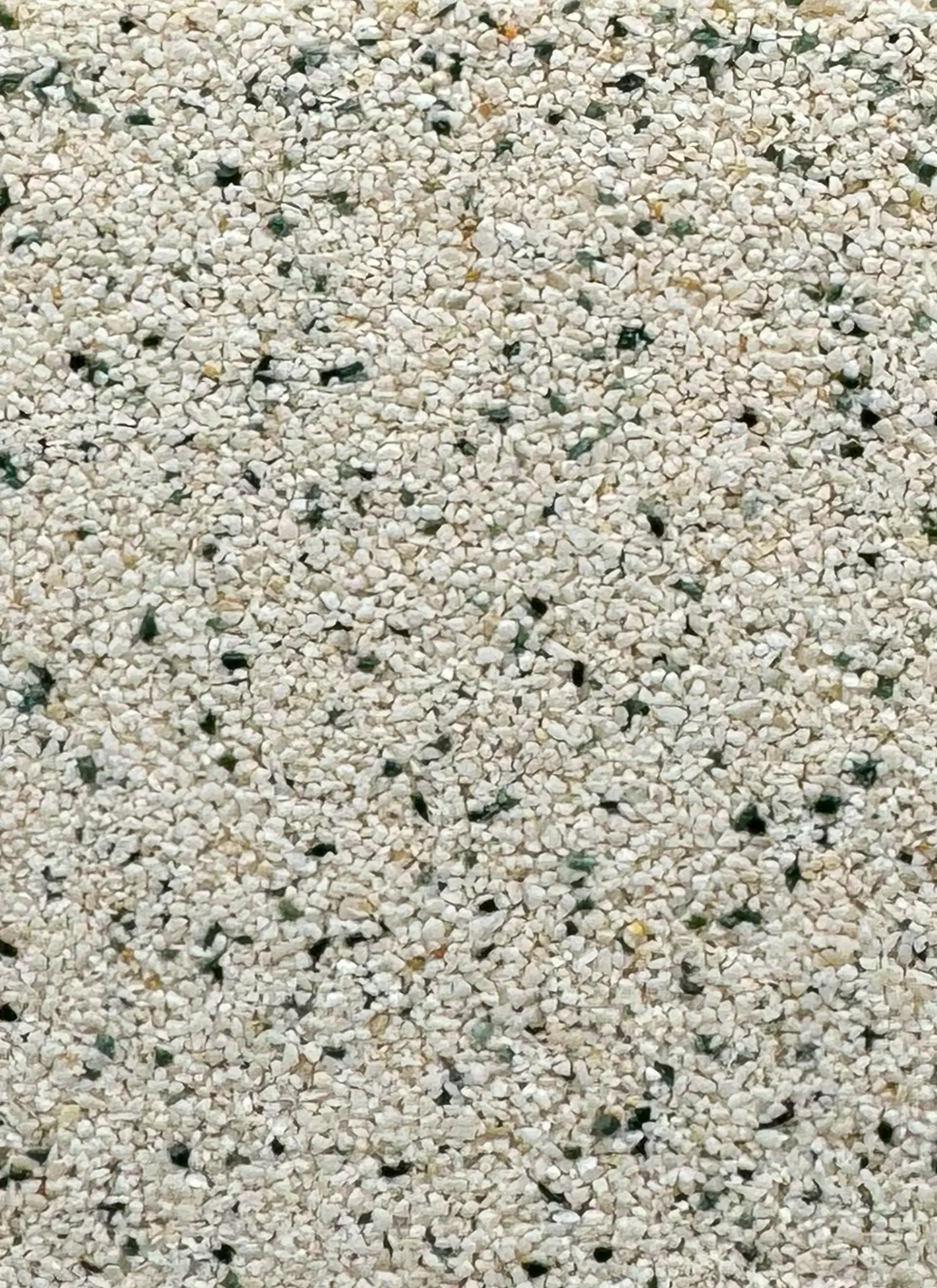 646