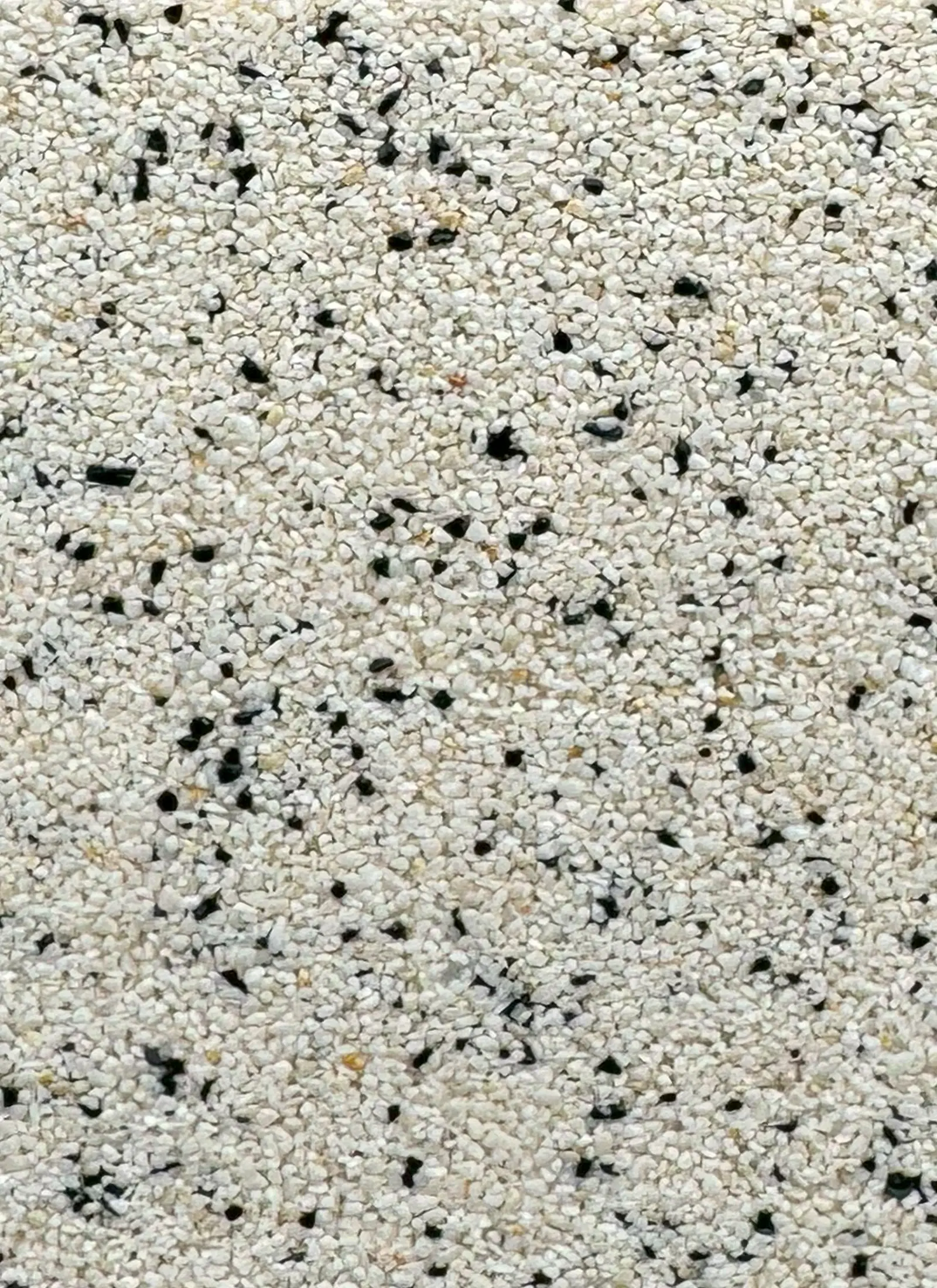 647