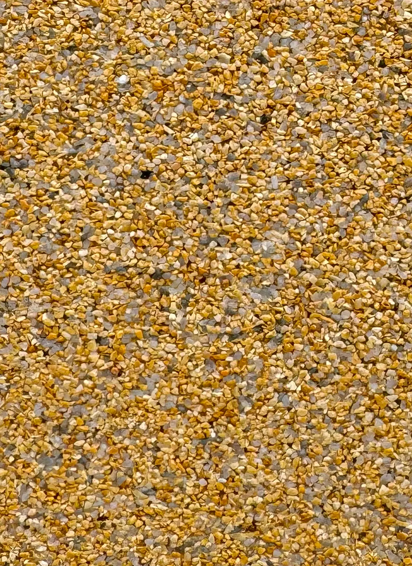 657